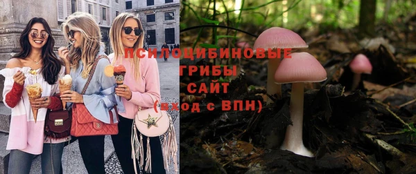 прущая мука Арсеньев