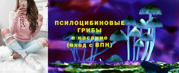 мет Аркадак