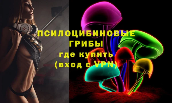 мет Аркадак